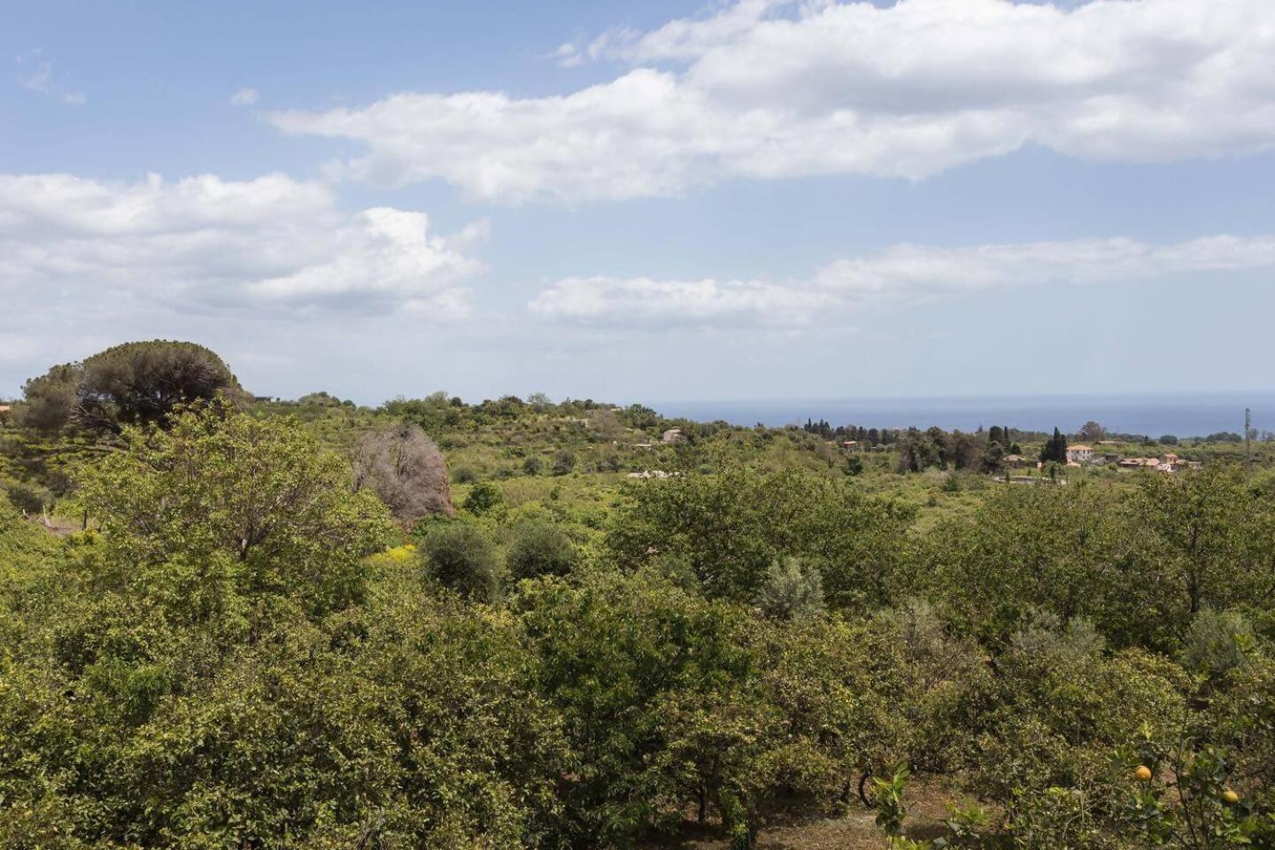 Villa Ginevra Santa Venerina Bagian luar foto
