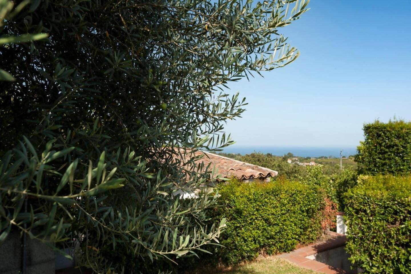 Villa Ginevra Santa Venerina Bagian luar foto